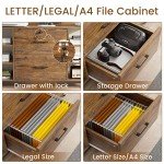 Rustic Brown 2-Drawer File Cabinet with Lock