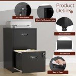Black Metal 2-Drawer Locking File Cabinet