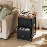 Rolling File Cabinet with 2 Drawers - Black/Brown