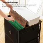 Rolling File Cabinet with 2 Drawers - Black/Brown