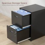 Black Metal 2-Drawer Locking File Cabinet