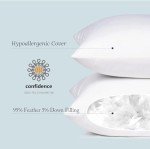 Feather Down Throw Pillow Inserts - Set of 2