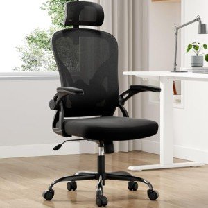 Farini Ergonomic Office Chair with Adjustable Support