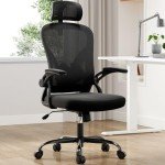 Farini Ergonomic Office Chair with Adjustable Support