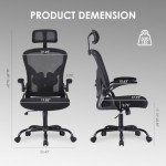 Farini Ergonomic Office Chair with Adjustable Support