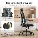 Farini Ergonomic Office Chair with Adjustable Support