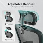 Farini Ergonomic Office Chair with Adjustable Support