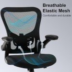 Ergonomic Mesh Office Chair with Lumbar Support