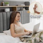 Grey Queen Bed Frame with Storage and Headboard