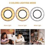 Woputne Clip-On Desk Lamp with Dimmable Brightness
