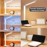 R RUCKERCO Dimmable LED Desk Lamp with USB Charger