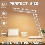 R RUCKERCO Dimmable LED Desk Lamp with USB Charger