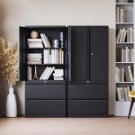 STANI Black 2 Drawer Lateral File Cabinet