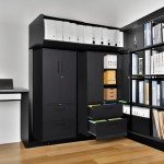 STANI Black 2 Drawer Lateral File Cabinet