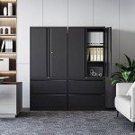 STANI Black 2 Drawer Lateral File Cabinet