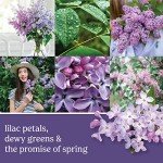 Lilac Blossoms Scented Large Jar Candle 22oz