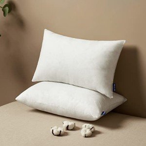 MIULEE Rectangle Pillow Inserts Set of 2