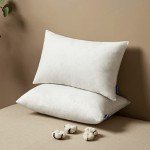 MIULEE Rectangle Pillow Inserts Set of 2