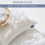 MIULEE Rectangle Pillow Inserts Set of 2