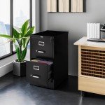 Locking 2-Drawer Vertical File Cabinet - Black