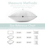 MIULEE Rectangle Pillow Inserts Set of 2