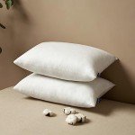 MIULEE Rectangle Pillow Inserts Set of 2