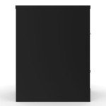 Locking 2-Drawer Vertical File Cabinet - Black