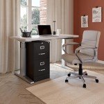 Locking 2-Drawer Vertical File Cabinet - Black