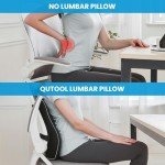 Lumbar Support Pillow for Office and Car Use