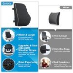 Lumbar Support Pillow for Office and Car Use