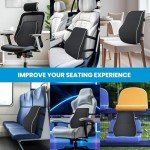 Lumbar Support Pillow for Office and Car Use