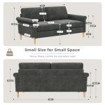 Vesgantti 65" Grey Mid Century Loveseat Sofa
