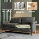 Vesgantti 65" Grey Mid Century Loveseat Sofa