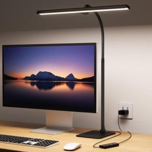 Kary Adjustable LED Desk Lamp for Home Office