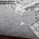 Vintage 2x6 Runner Rug for Entryway and Hallway