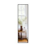 Delma Full-Length Standing Wall Mirror - Black