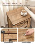 Modern Farmhouse File Cabinet with 2 Drawers