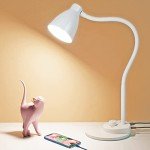 LED Desk Lamp with USB Charging and 3 Modes