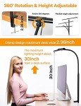 Adjustable LED Desk Lamp with Flexible Gooseneck