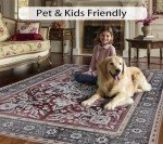 Boho 5x7 Machine Washable Non-Slip Area Rug