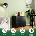 Black Rolling File Cabinet with Lock and 2 Drawers