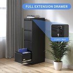 Yukimo Vertical File Cabinet with Lock and Drawers
