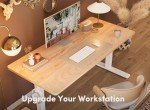 Height Adjustable Electric Standing Desk - Maple 55"x24