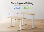 Height Adjustable Electric Standing Desk - Maple 55"x24