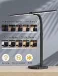 Double Head LED Desk Lamp with USB Charging