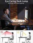 Double Head LED Desk Lamp with USB Charging