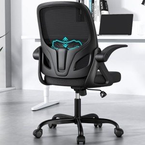 Modern Ergonomic Desk Chair with Lumbar Support