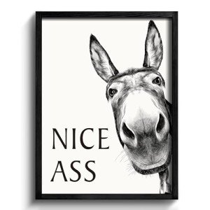 Funny Donkey Framed Bathroom Wall Art Decor