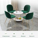IOTXY Small Round Coffee Table with Storage Shelf