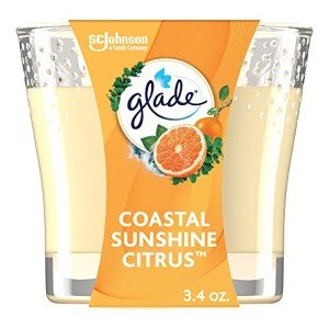 Coastal Sunshine Citrus Candle Jar - 3.4 Oz